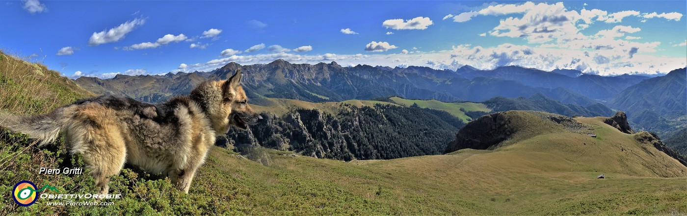 38 Scendiamo a vista dalla cima Mincucco pestando bassa vegetazione cespugliosa.jpg